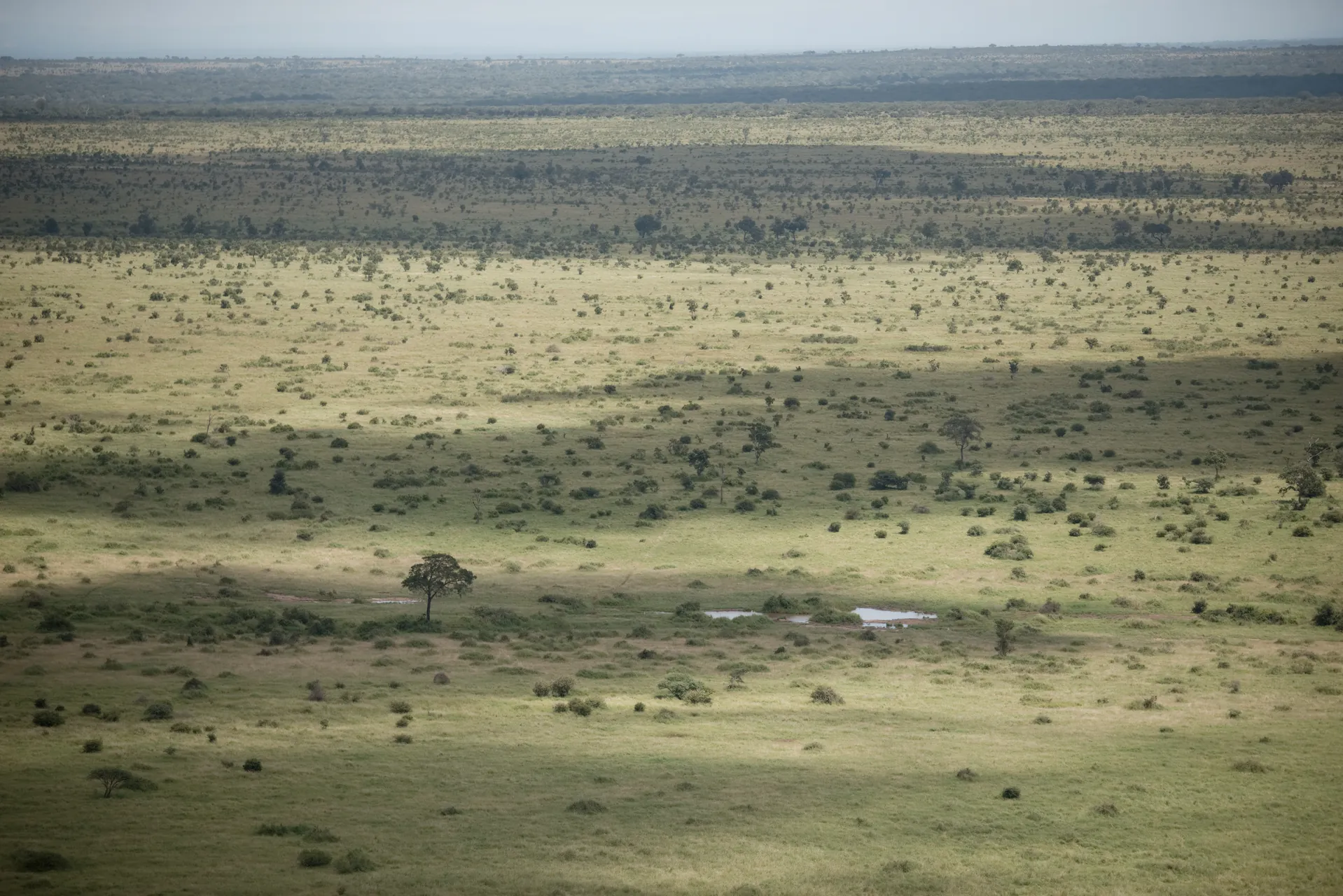 Zuid Afrika